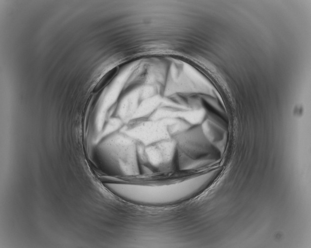 X0000096451289200802211225