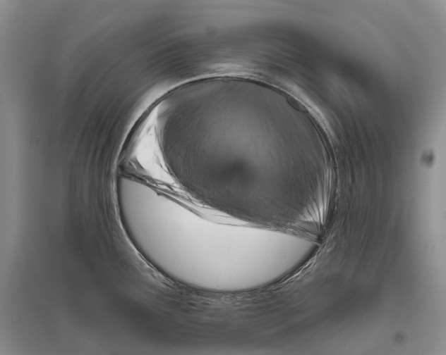 X0000096451291200802211225