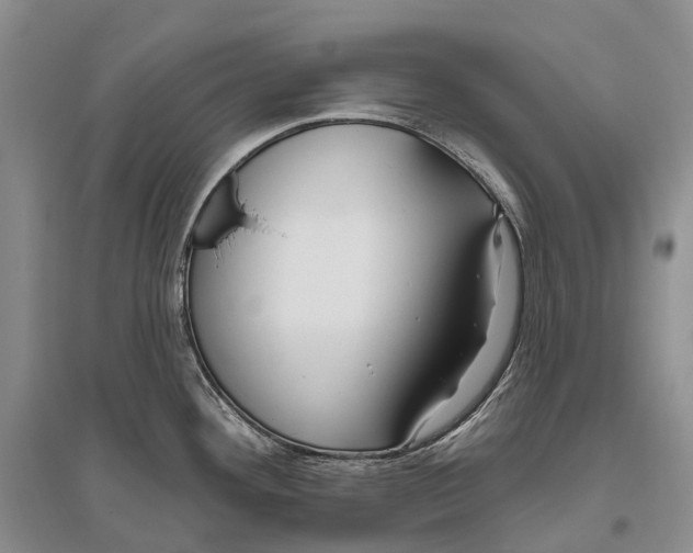 X0000096451292200802211225