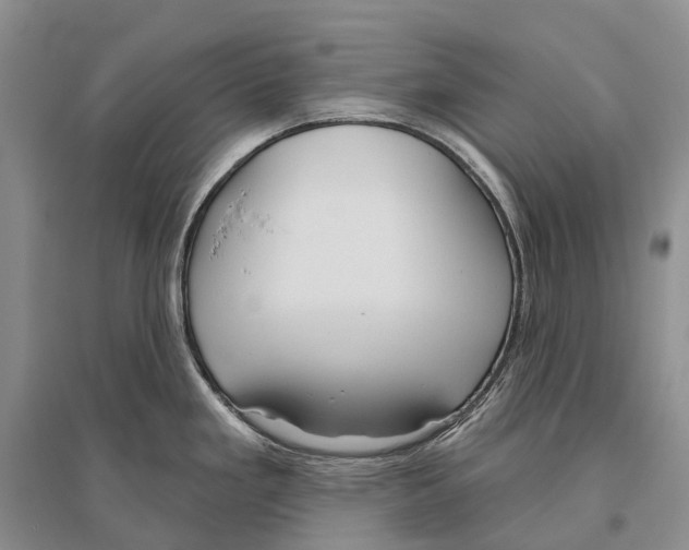 X0000096451293200802211225