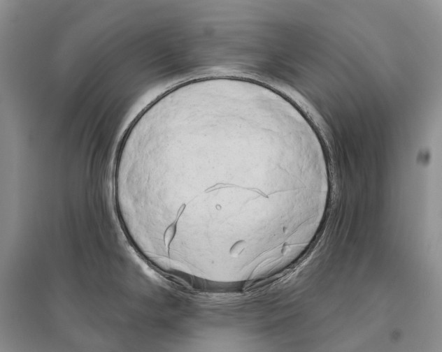 X0000096451294200802211225