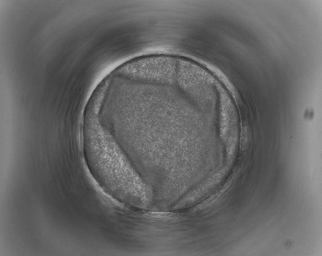 X0000096451295200802211225