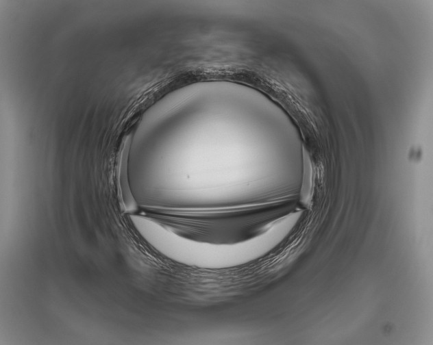 X0000096451300200802211224