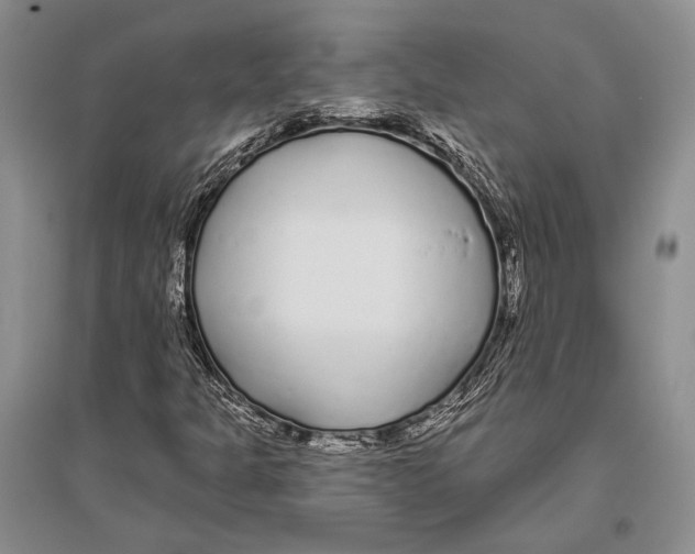 X0000096451301200802211224