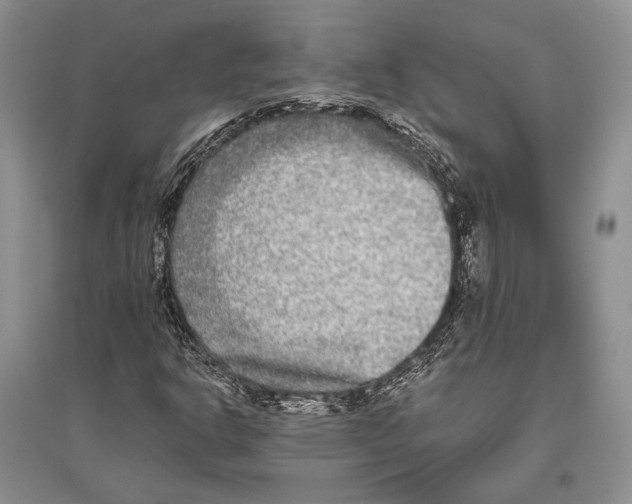 X0000096451302200802211224