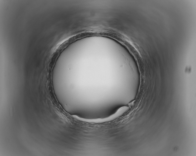 X0000096451304200802211224