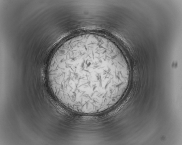 X0000096451305200802211224