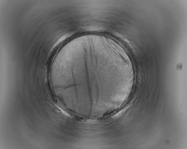 X0000096451306200802211224