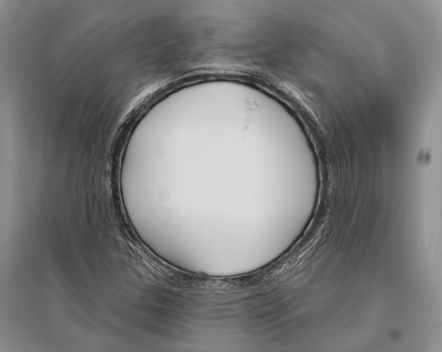 X0000096451307200802211224