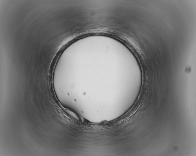 X0000096451308200802211224