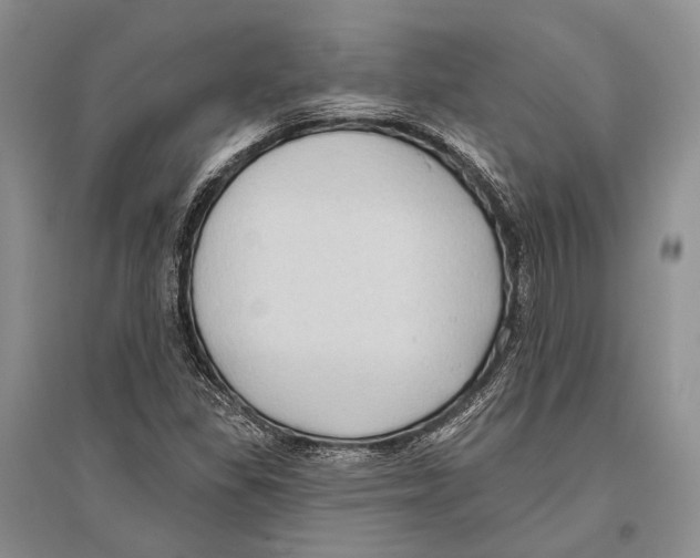 X0000096451309200802211225