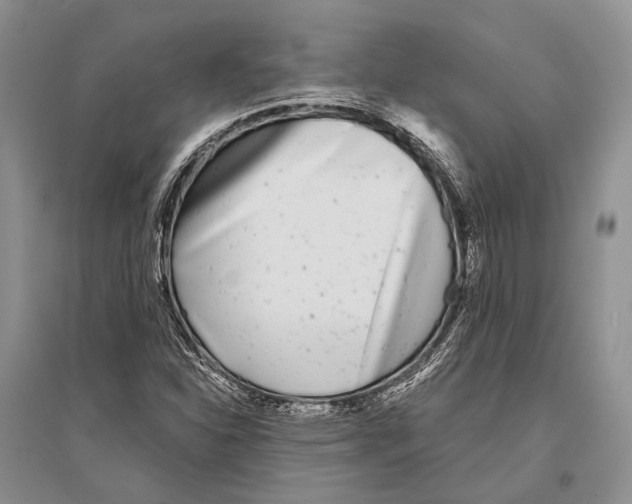 X0000096451310200802211225