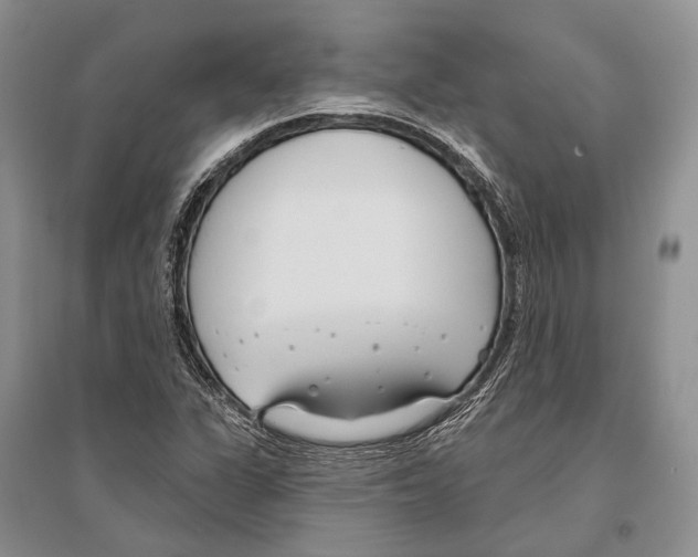 X0000096451311200802211225