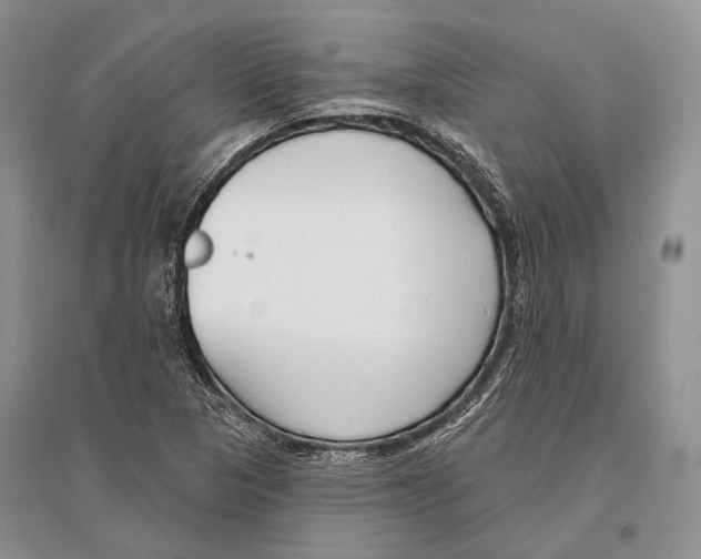 X0000096451313200802211225