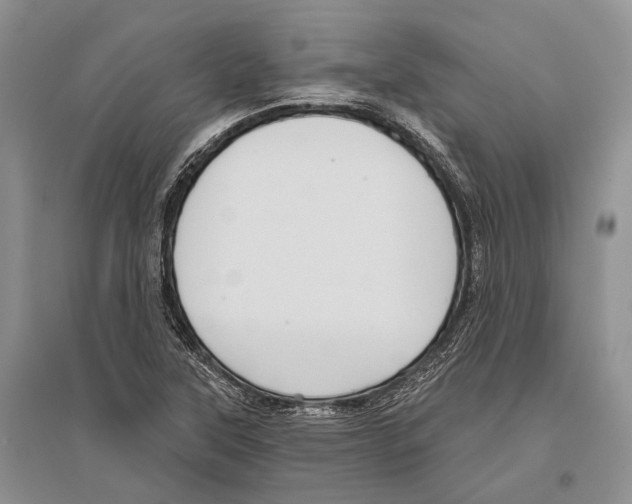 X0000096451315200802211225