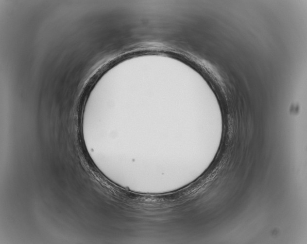 X0000096451318200802211225