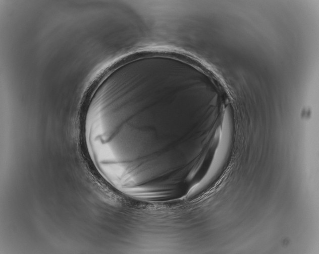 X0000096451319200802211225