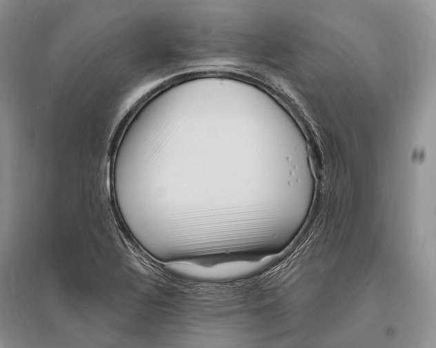 X0000096451320200802211225