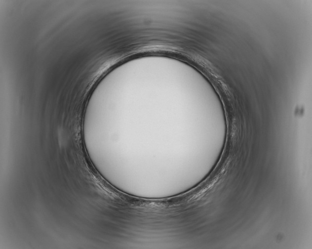 X0000096451321200802211225