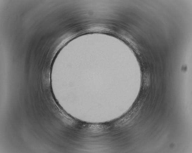 X0000096451322200802211225