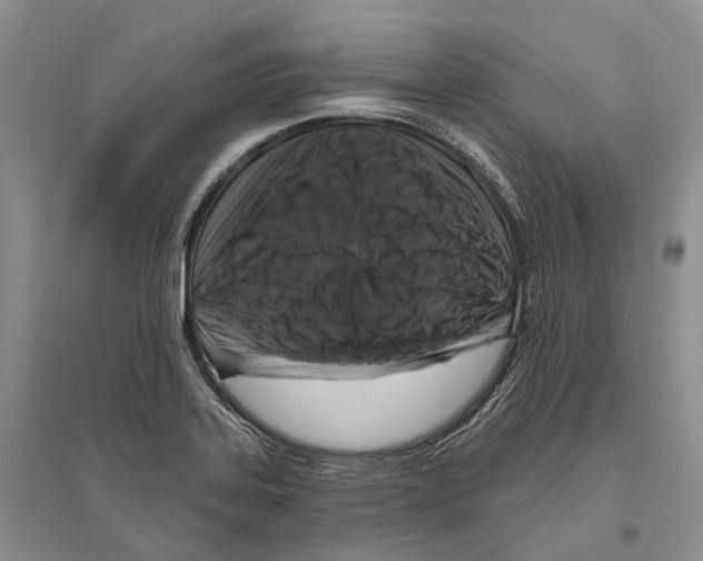 X0000096451323200802211225