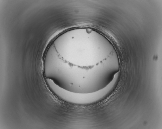 X0000096451324200802211225