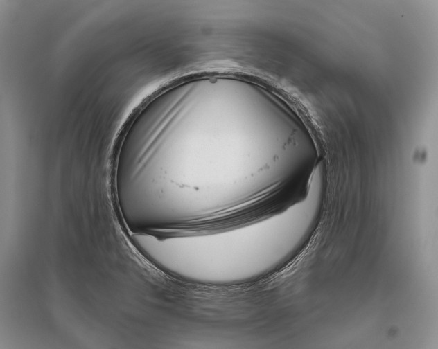 X0000096451326200802211225