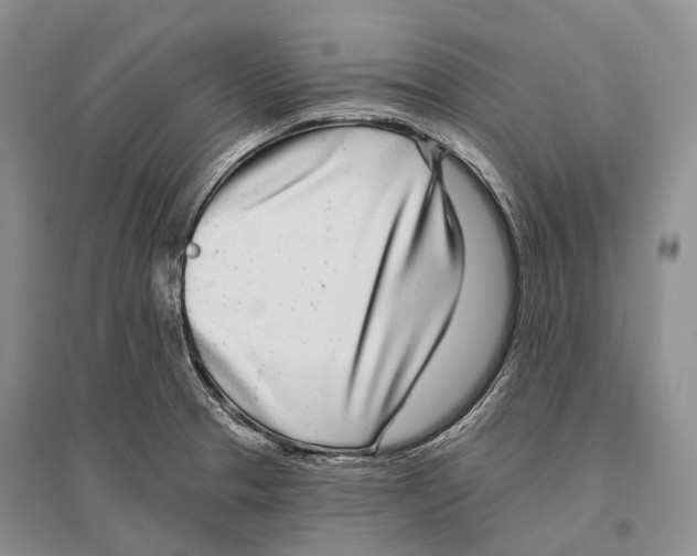 X0000096451329200802211225