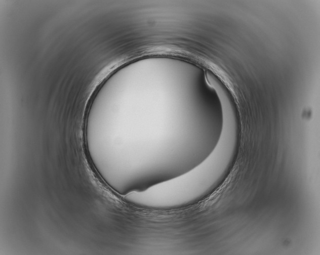 X0000096451330200802211225