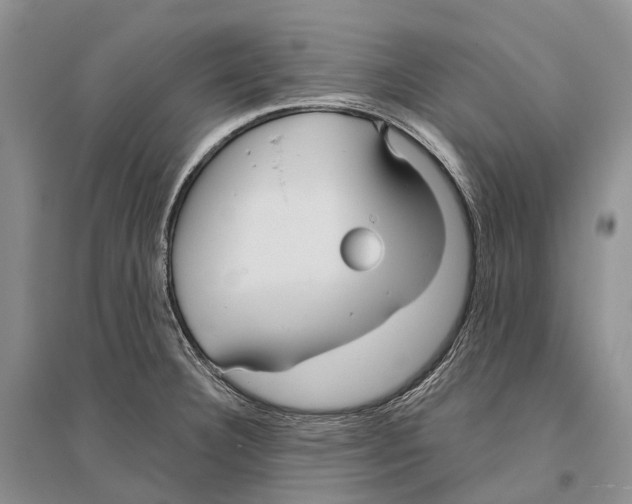 X0000096451332200802211225