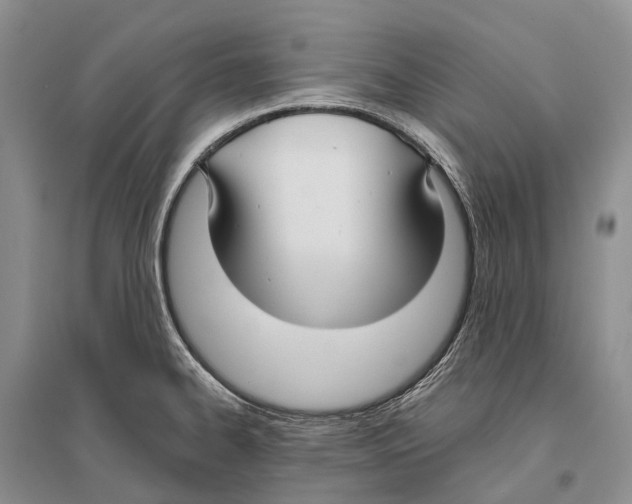 X0000096451334200802211225