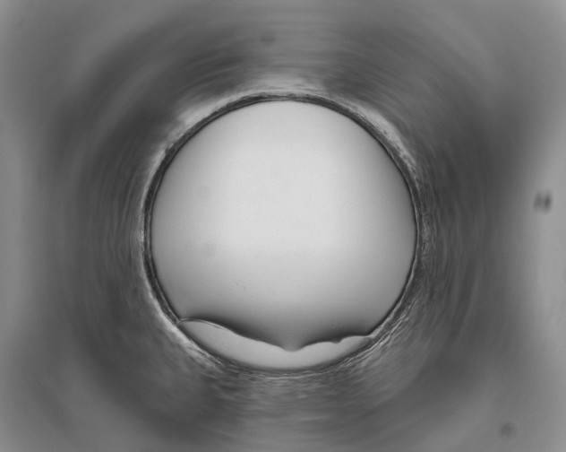 X0000096451335200802211225