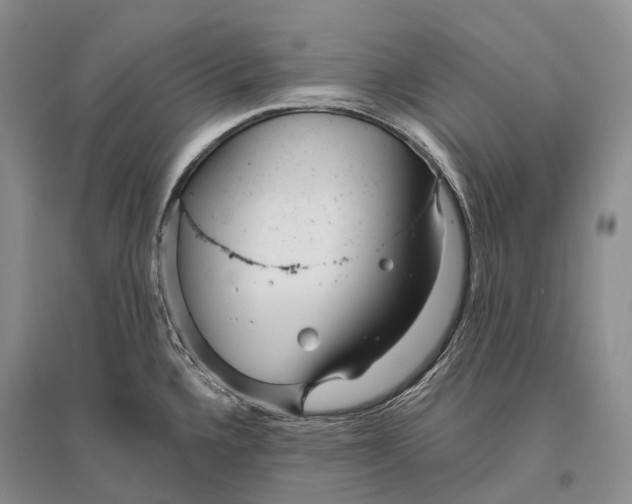 X0000096451336200802211225