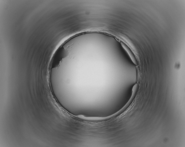 X0000096451340200802211225