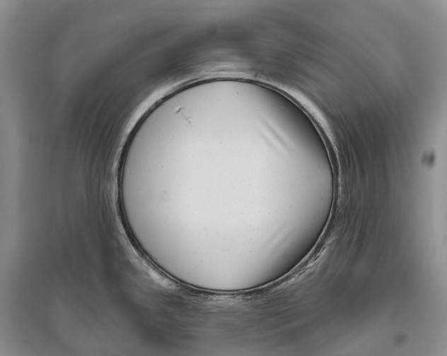 X0000096451341200802211225