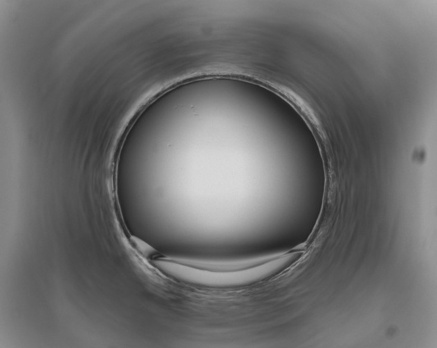 X0000096451342200802211225