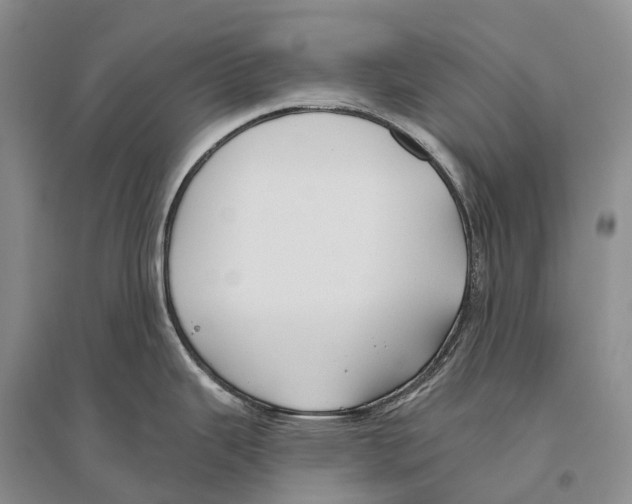 X0000096451343200802211225