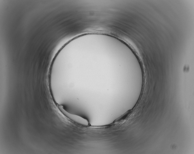 X0000096451344200802211225