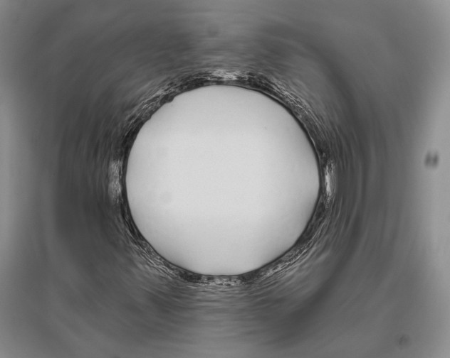 X0000096451347200802211224