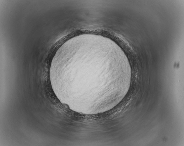 X0000096451350200802211224