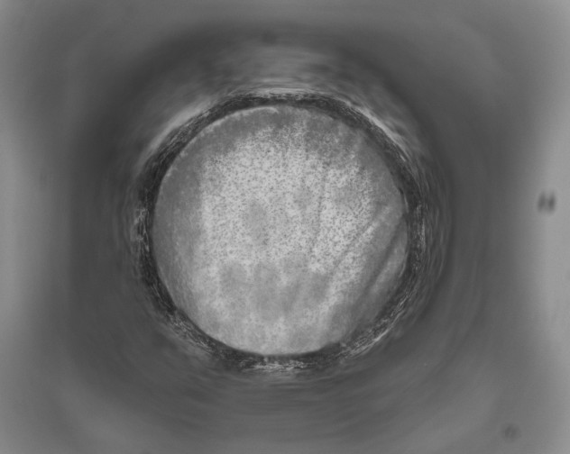 X0000096451351200802211224