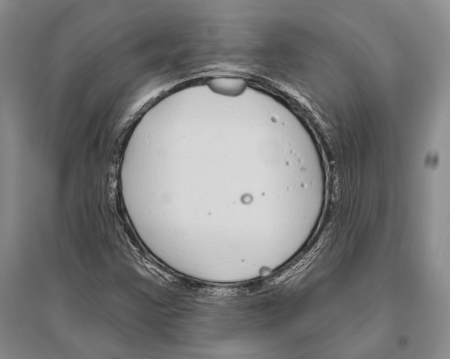 X0000096451355200802211224