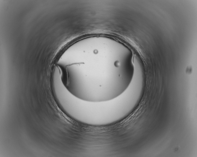 X0000096451356200802211224