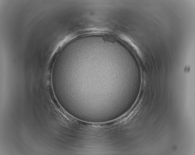 X0000096451357200802211224