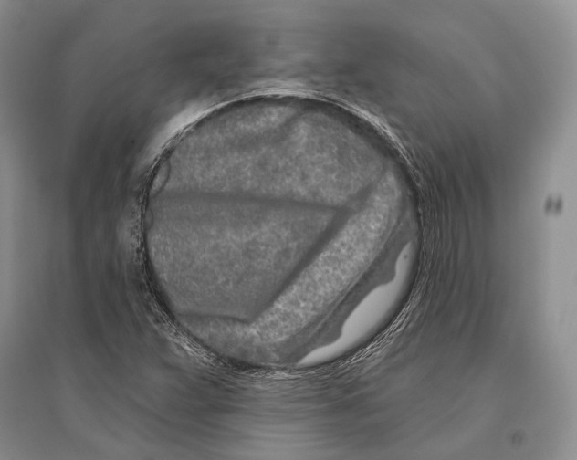 X0000096451359200802211224