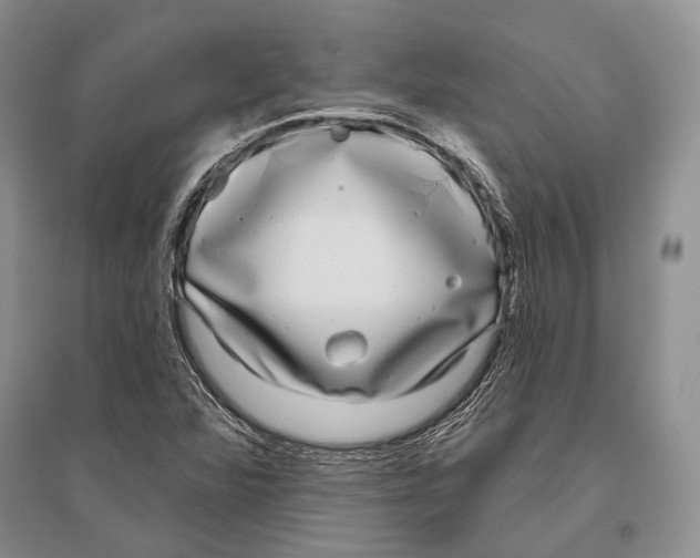 X0000096451360200802211224