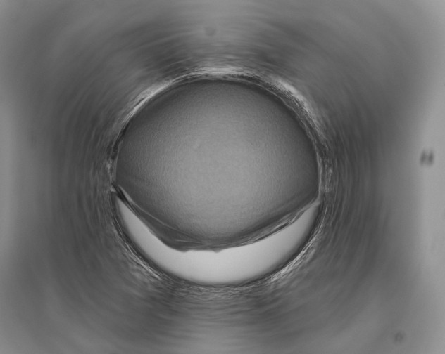 X0000096451361200802211224