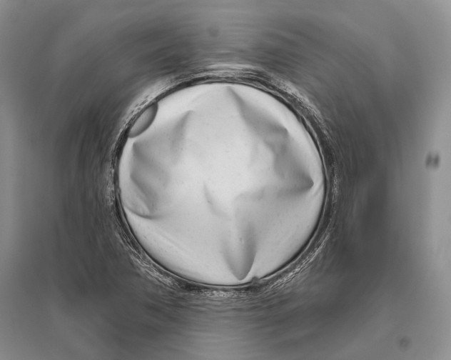 X0000096451362200802211224