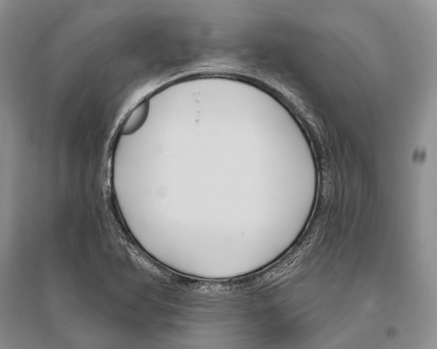 X0000096451366200802211224