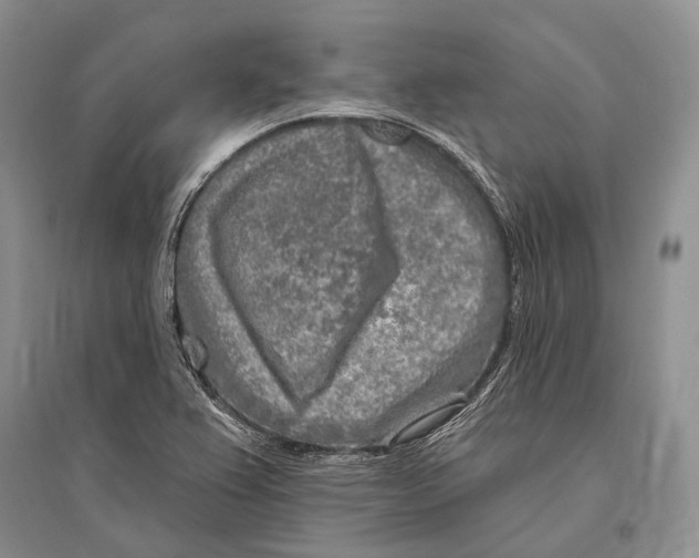 X0000096451367200802211224